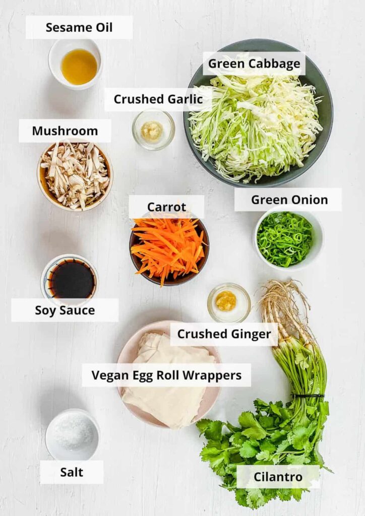 A top view of ingredients for egg rolls on a kitchen counter