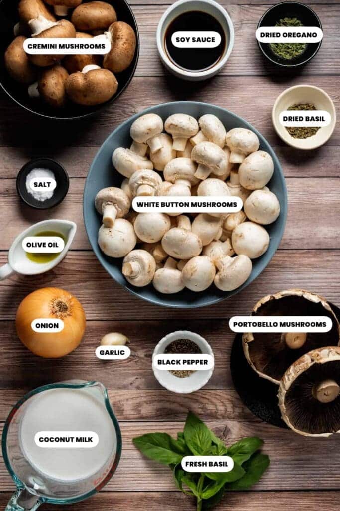 A top view of the Ingredients for Vegetarian Mushroom Soup Recipe  