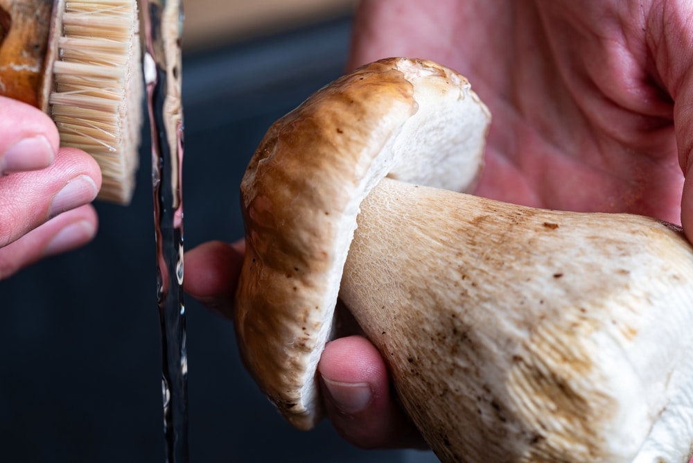 A view of a hand washing a mushroom