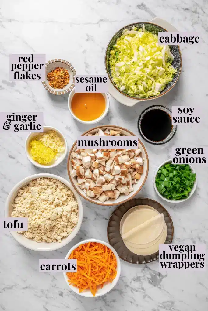 An overhead view of ingredients for vegan dumplings